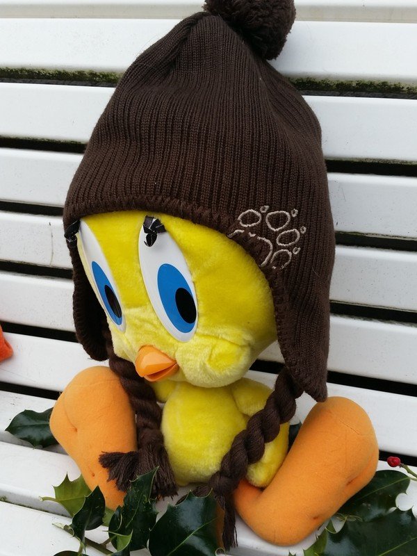  Jack Wolfskin Wintermütze NEU