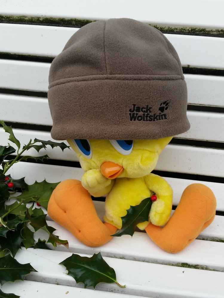 Mütze Wolfskin  Neu