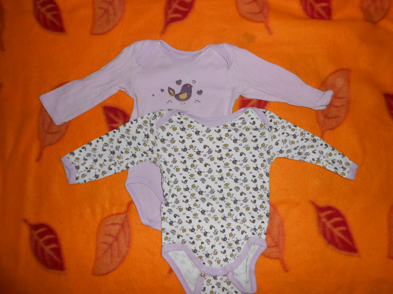 2 Bodys lila weiß papagino 62/68 langarm