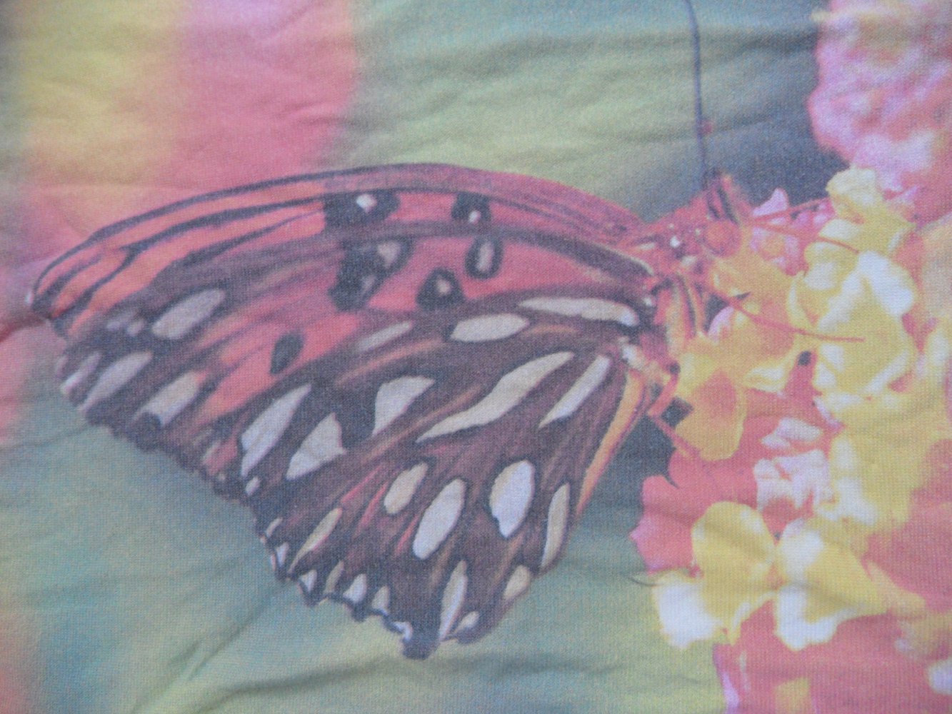 Jako-o Langarmshirt Schmetterling Fotoprint 140/146