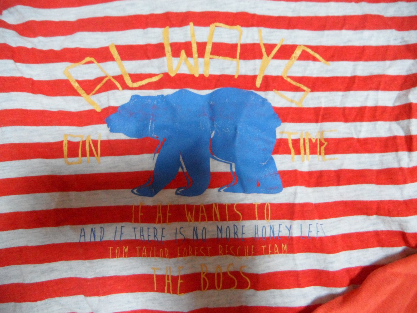 Tom Tailor Schlafanzug Pyjama 104/110 Bär