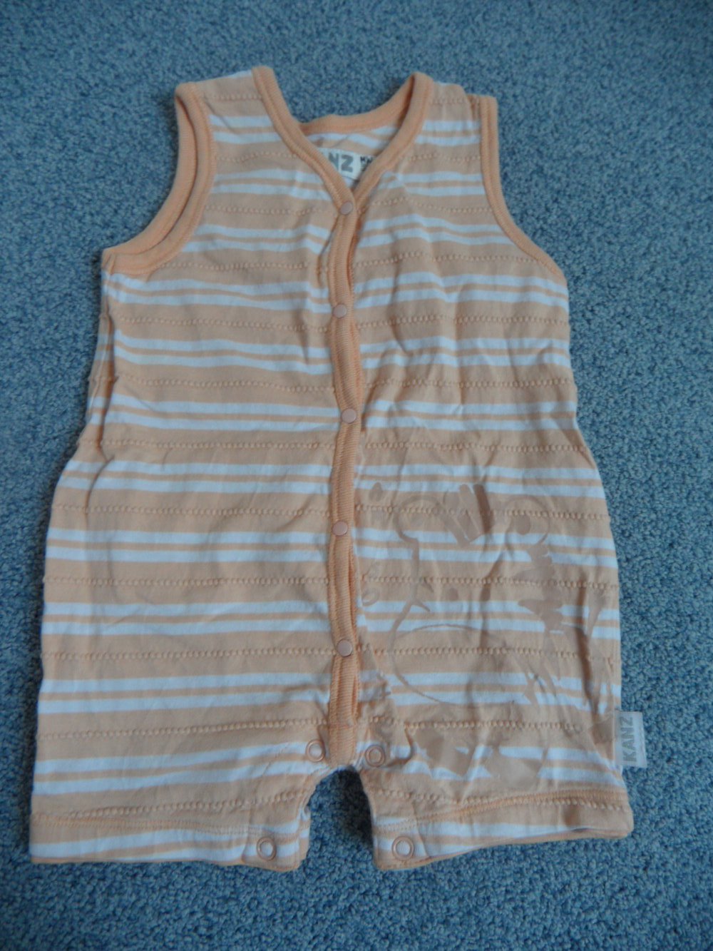 Kanz megasüßer Spieler kurz mit Zebra