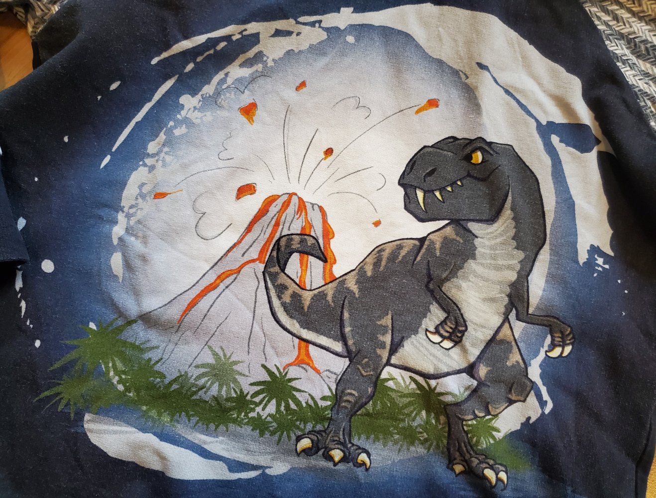 Hoodie Sweatshirt Dinosaurier Gr. 98/104 handmade