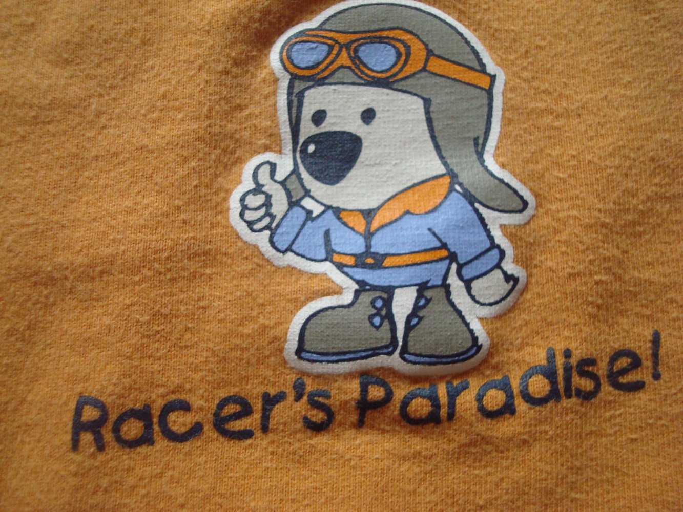 Shirt, Langarmshirt, Pullover mit kleinem Aufdruck