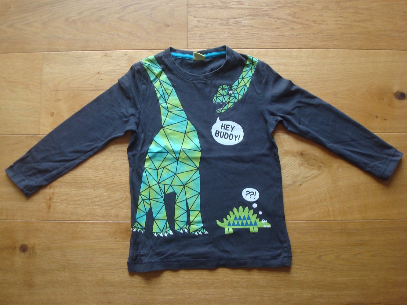 cooles Langarmshirt mit Dinoaufdruck