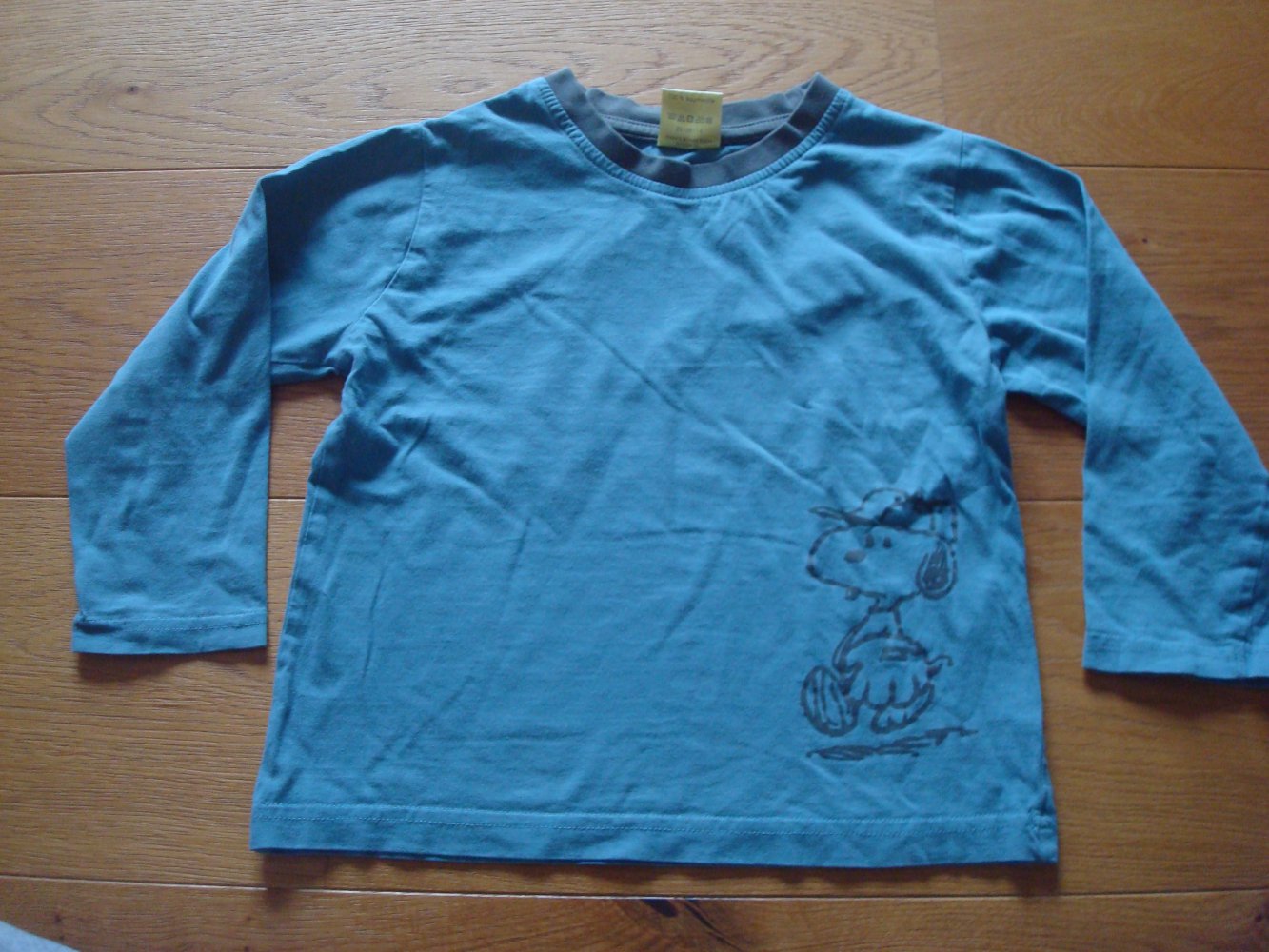 Shirt, Langarmshirt, Pullover mit Snoopy