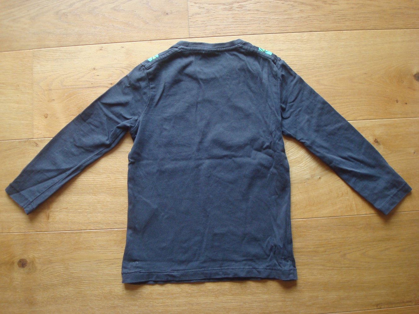 cooles Langarmshirt mit Dinoaufdruck