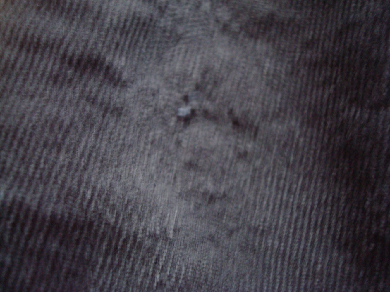 Hose, Cordhose, Cordjeggins