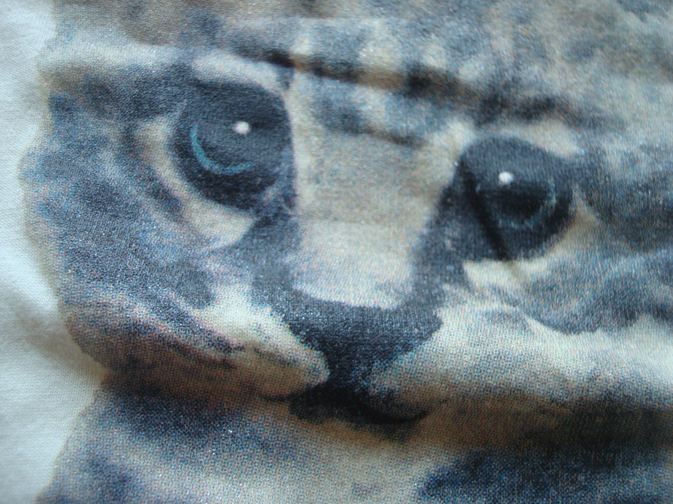 süßes T-Shirt, Shirt mit Katzenaufdruck