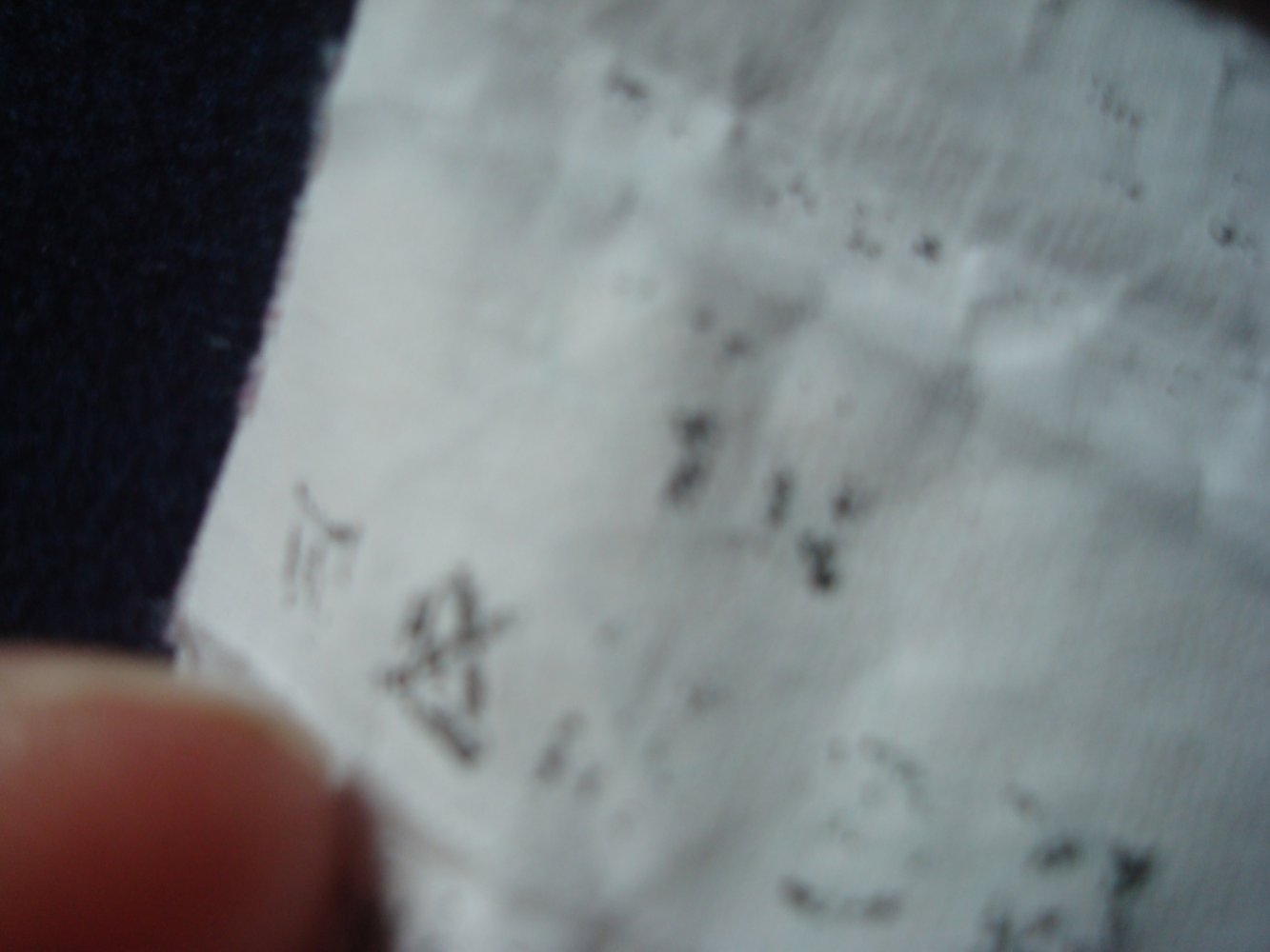 Jacke mit Kapuze, Übergangsjacke