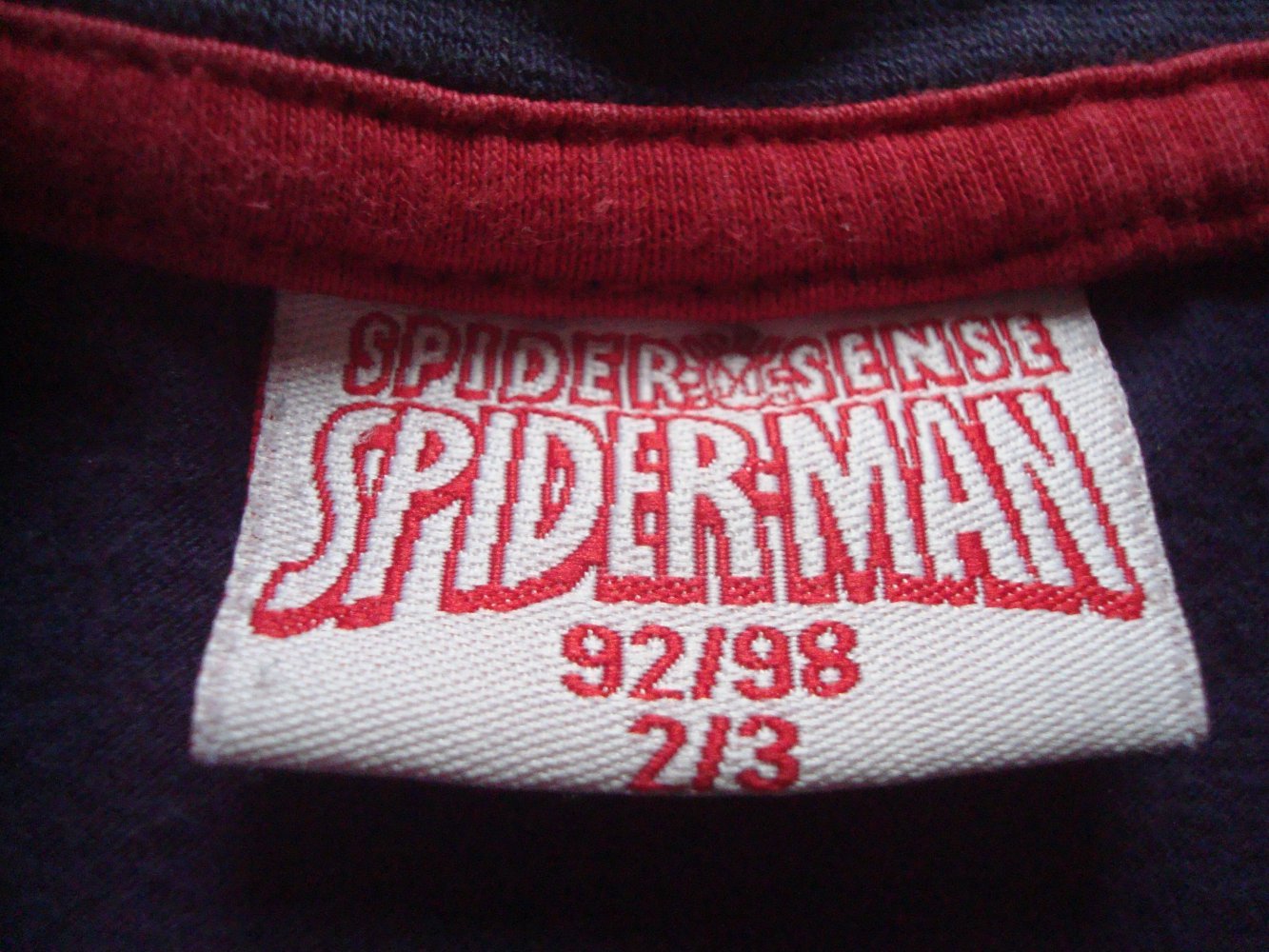 Langarmshirt Spiderman