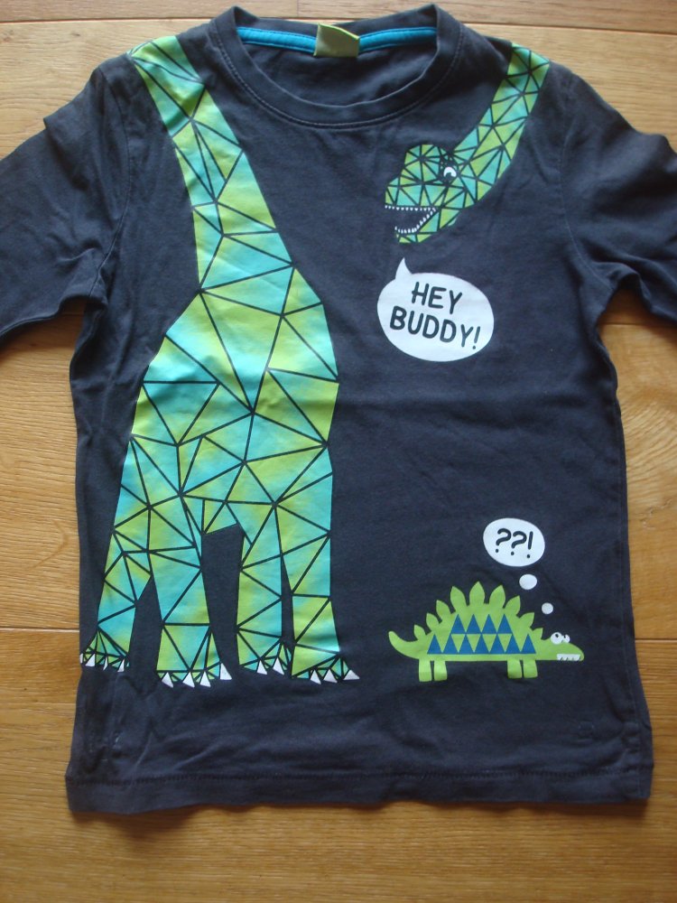 cooles Langarmshirt mit Dinoaufdruck
