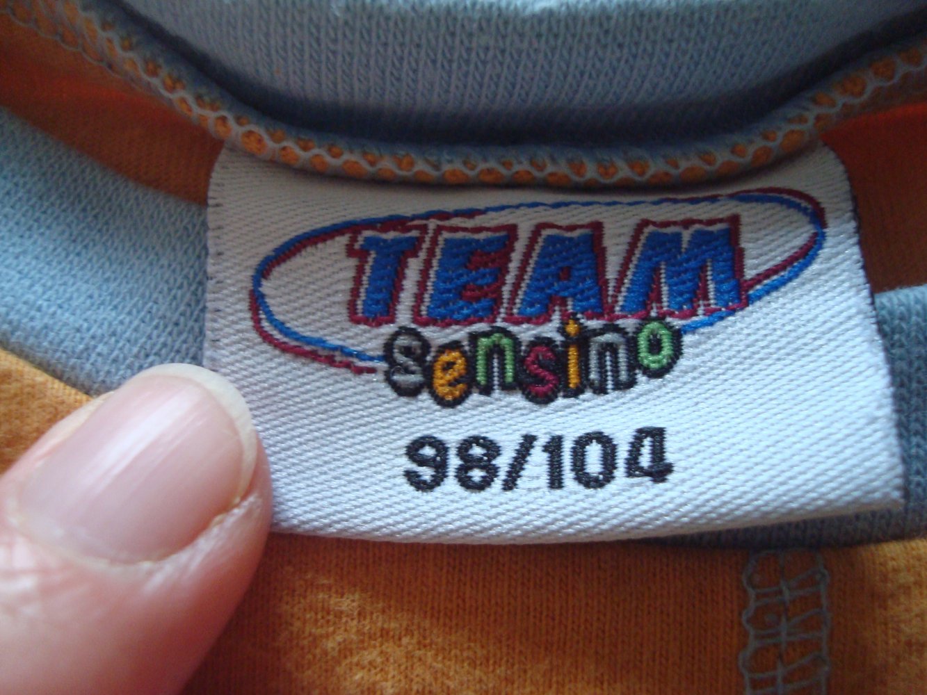 Shirt, Langarmshirt, Pullover mit kleinem Aufdruck