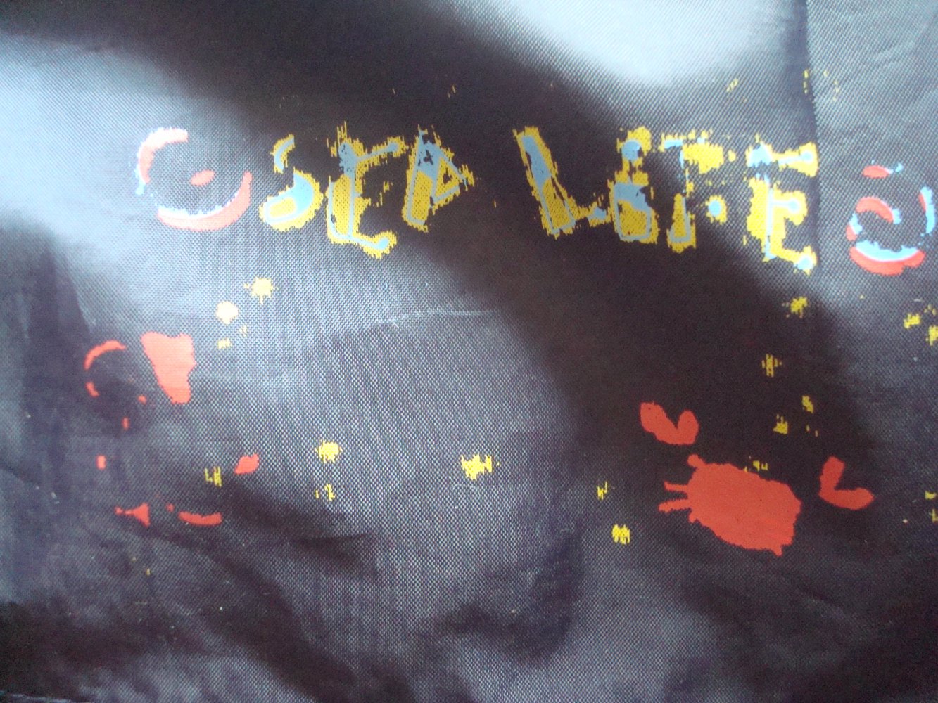 Regenjacke, Matschjacke, Jacke mit Kapuze