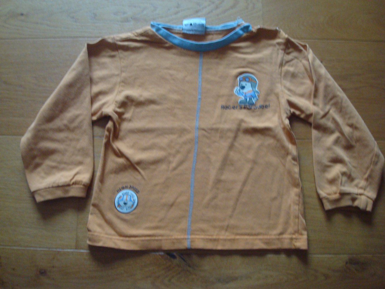 Shirt, Langarmshirt, Pullover mit kleinem Aufdruck