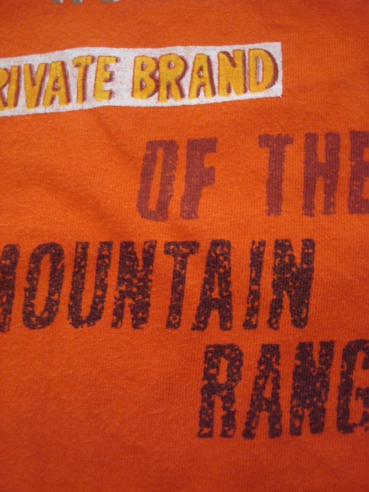 Shirt, Hemd, Langarmshirt im Lagenlook