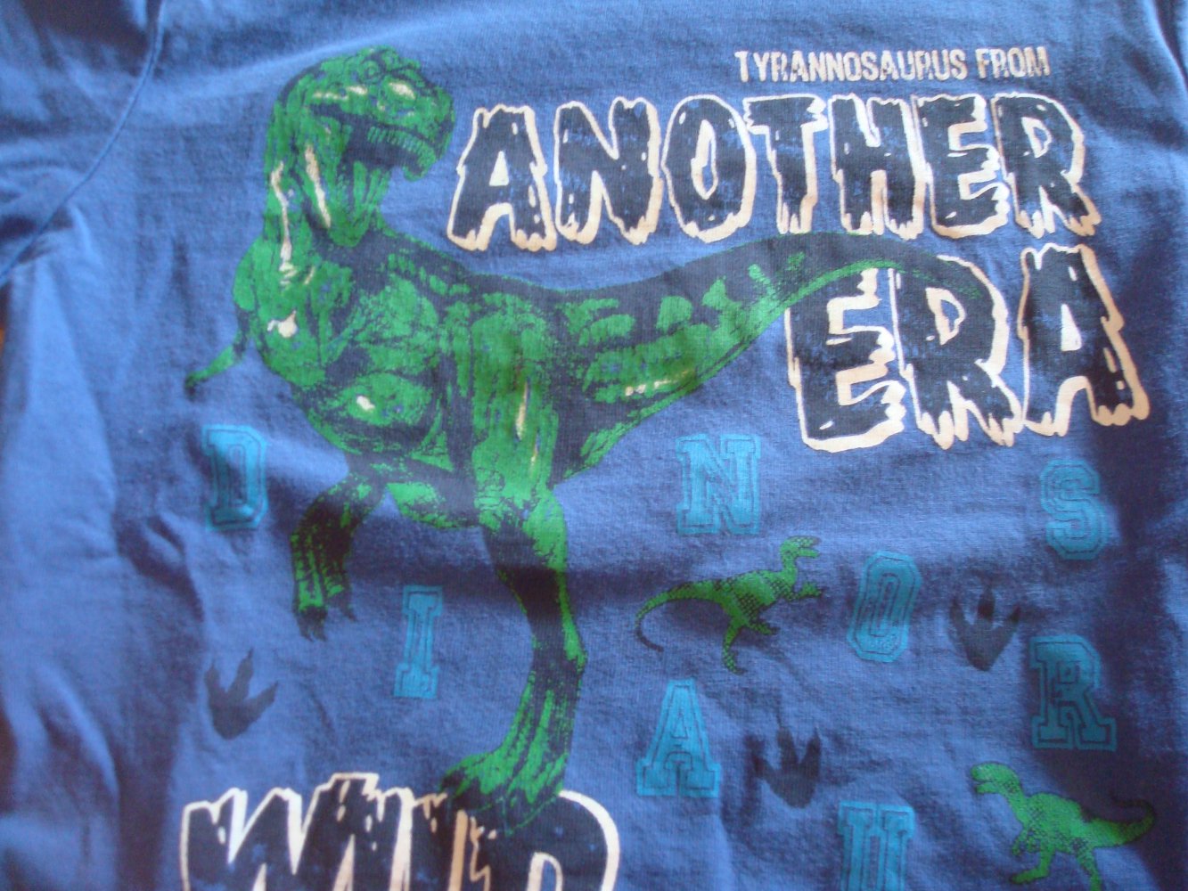 Shirt, T-Shirt mit Dino