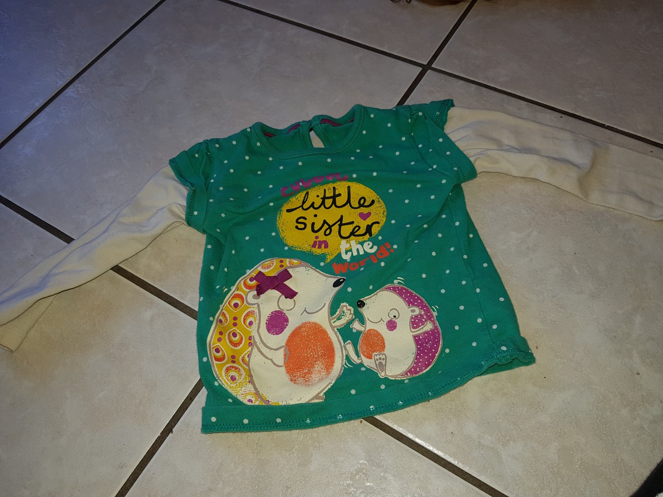 Langarmshirt Gr 80 Druck an manchen Stellen etwas rissig