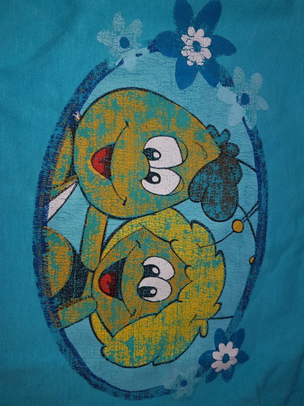 Langarmshirt Gr 98 Druck nicht mehr so schön