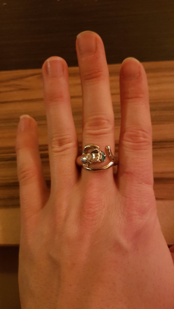 Katzen Ring Türkis Blaue Augen