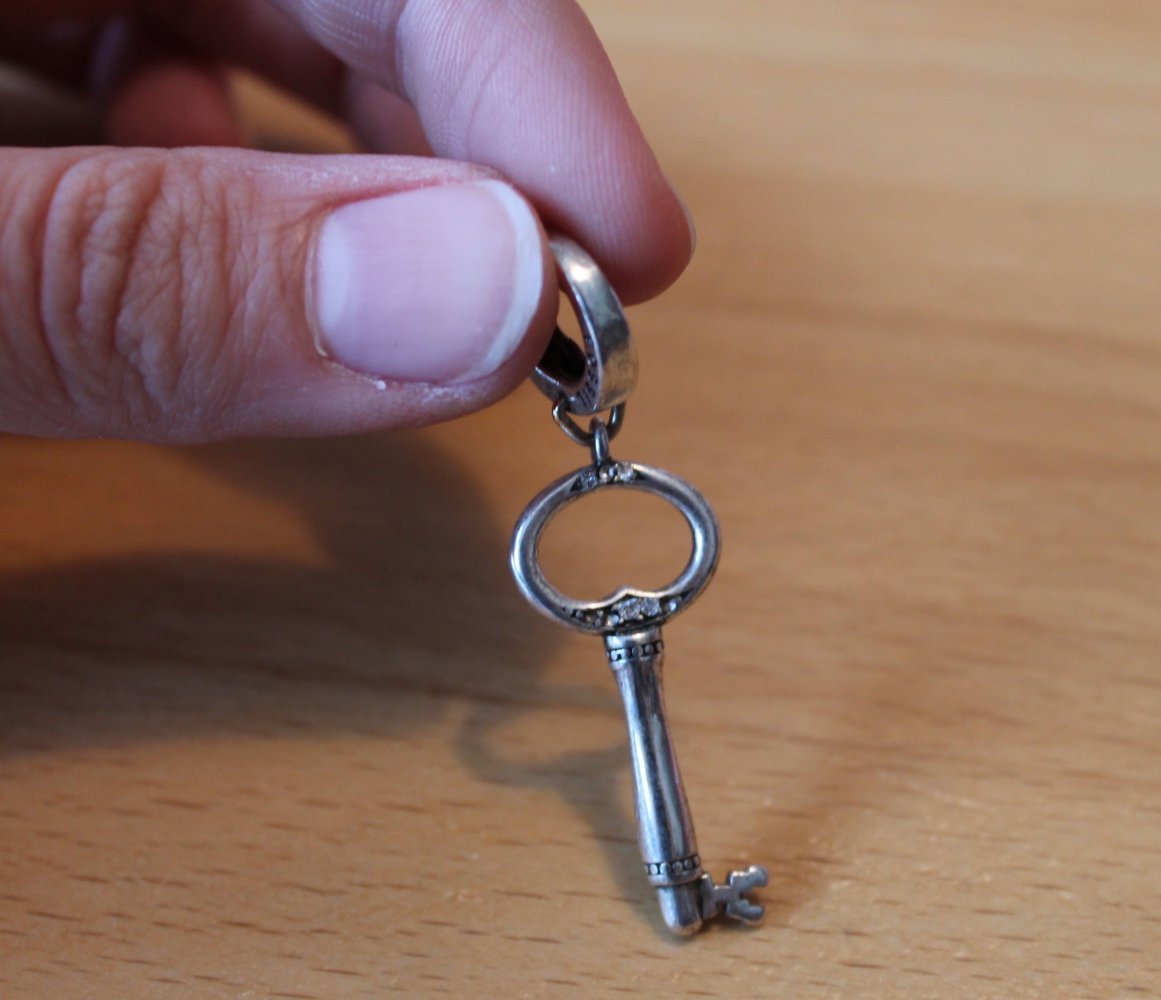 Fossil Charm Schlüssel