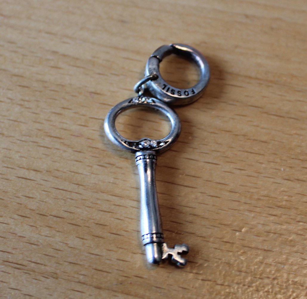 Fossil Charm Schlüssel