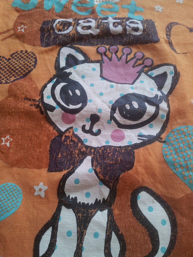  Pullover orange Katze Gr. 98/104