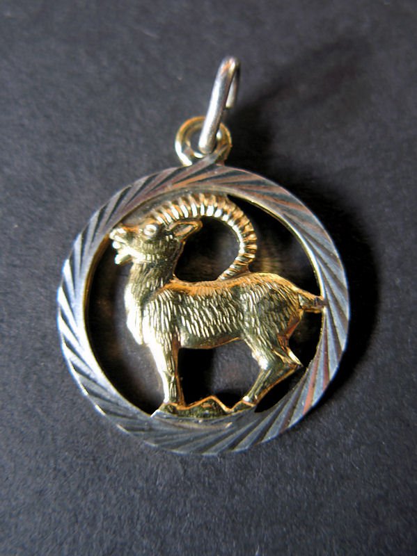 Sternzeichenanhänger Steinbock (bicolor)