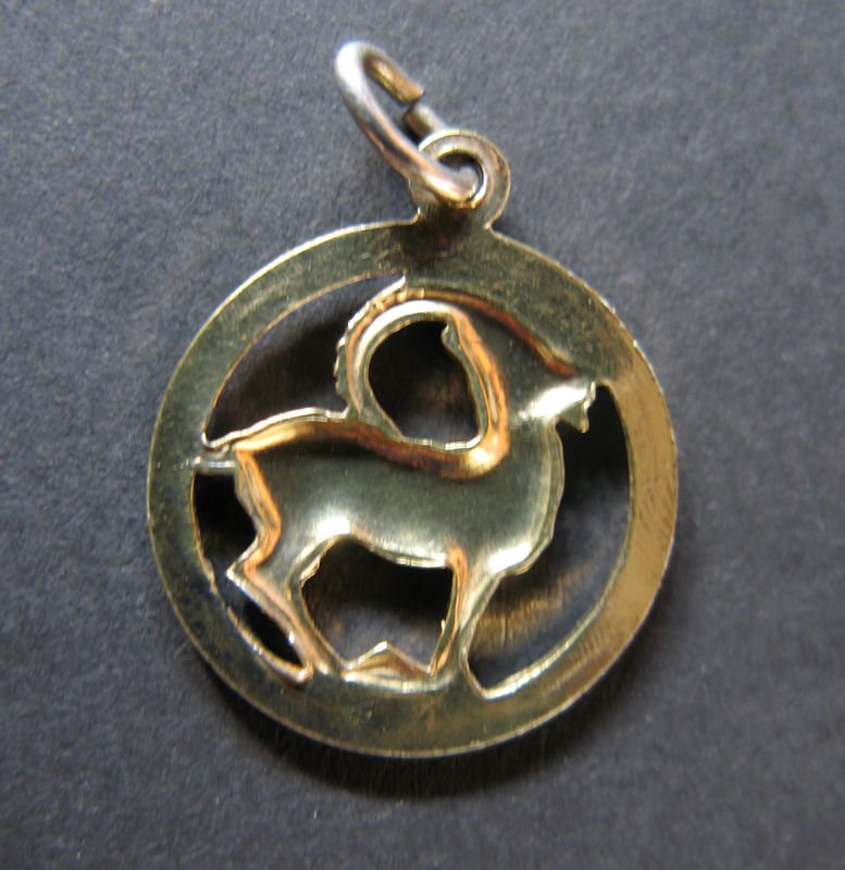 Sternzeichenanhänger Steinbock (bicolor)