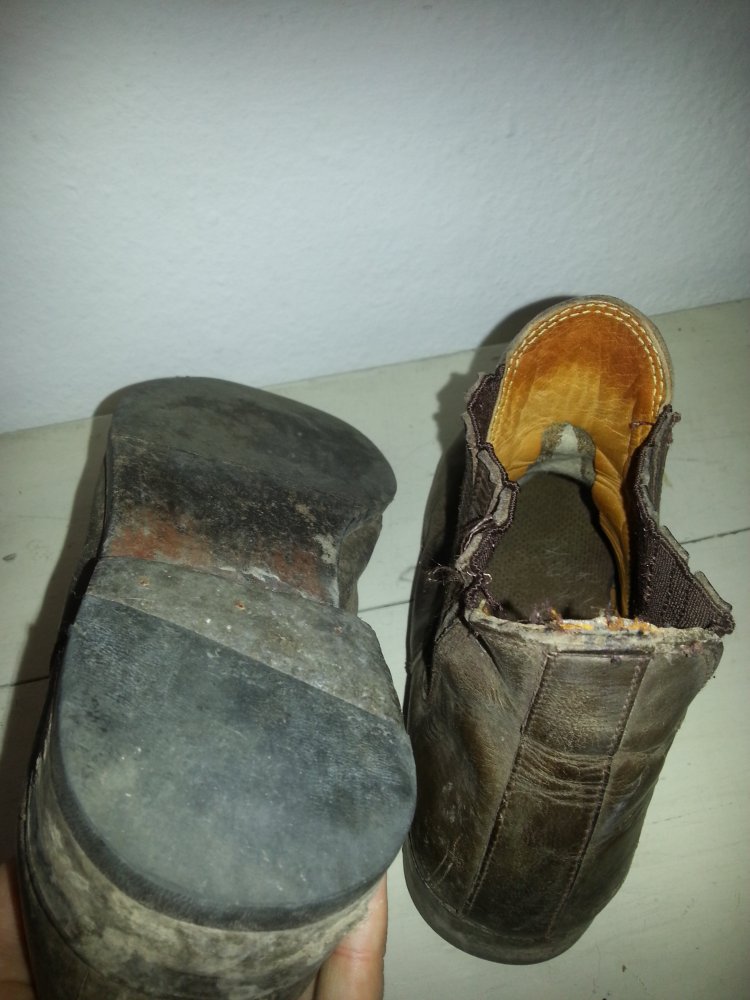 Pfiff Reit Stiefletten Wildschweinleder