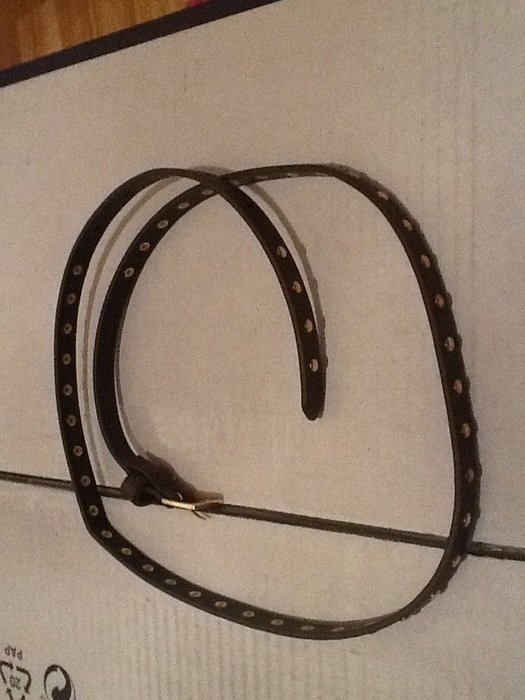 Nieten-Gürtel in Farbe braun-gold,