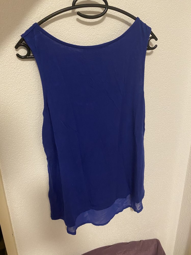 Blaue ärmellose Bluse