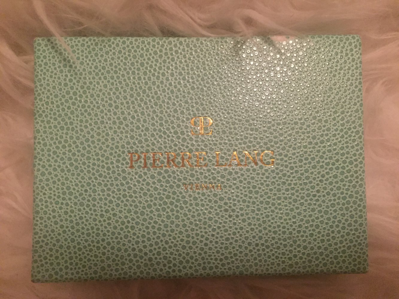 pierre lang Ohrringe aus Gold 