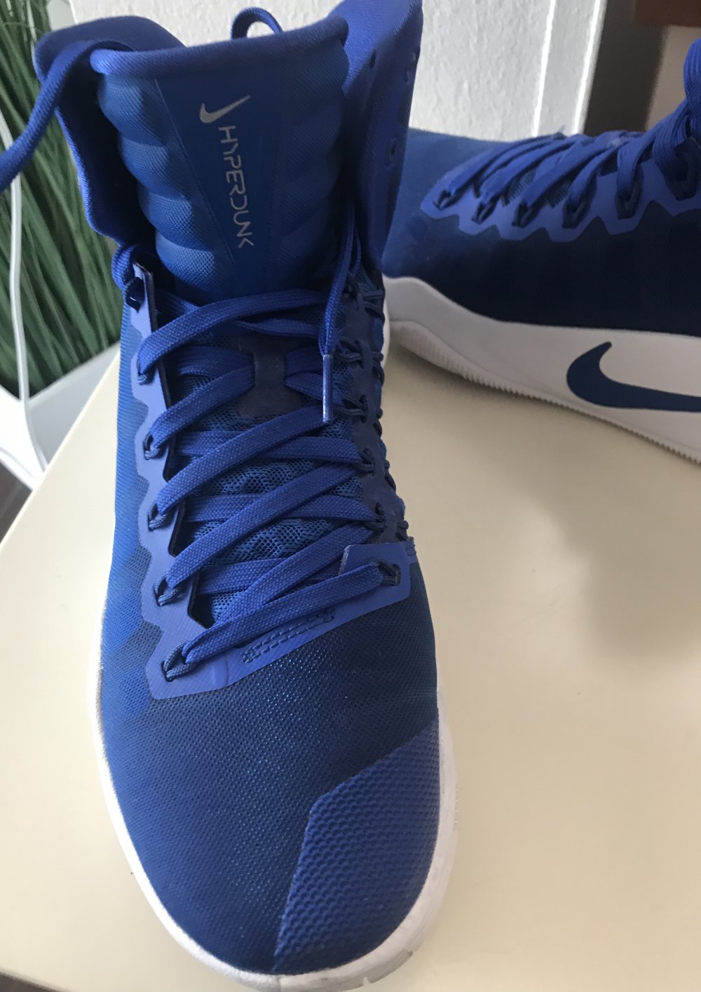 Nike Basketballschuhe Gr.41