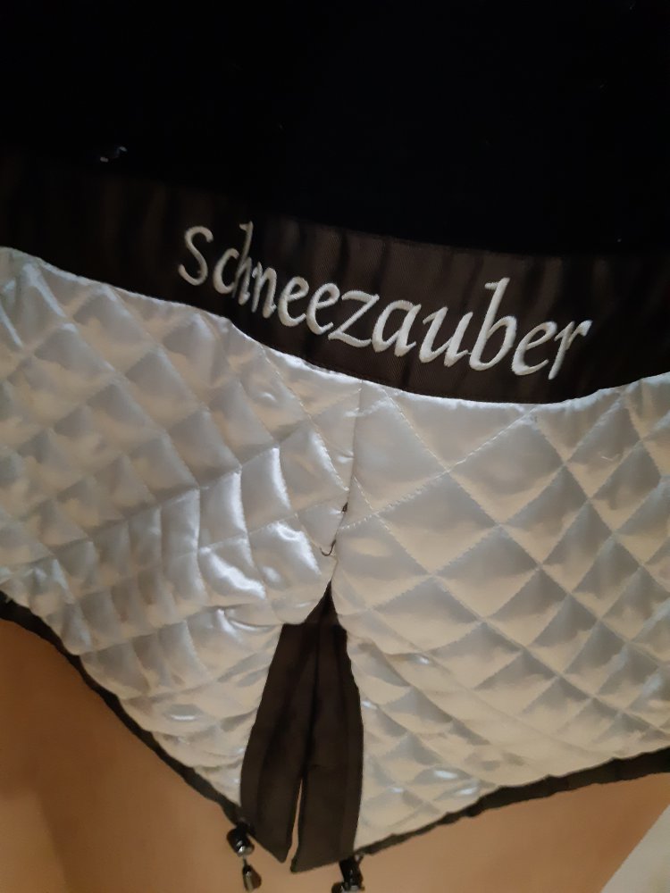 Wellensteyn Schneezauber