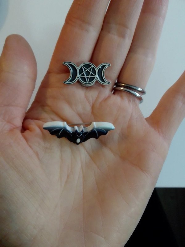 2 Anstecker Pins Fledermaus Mond