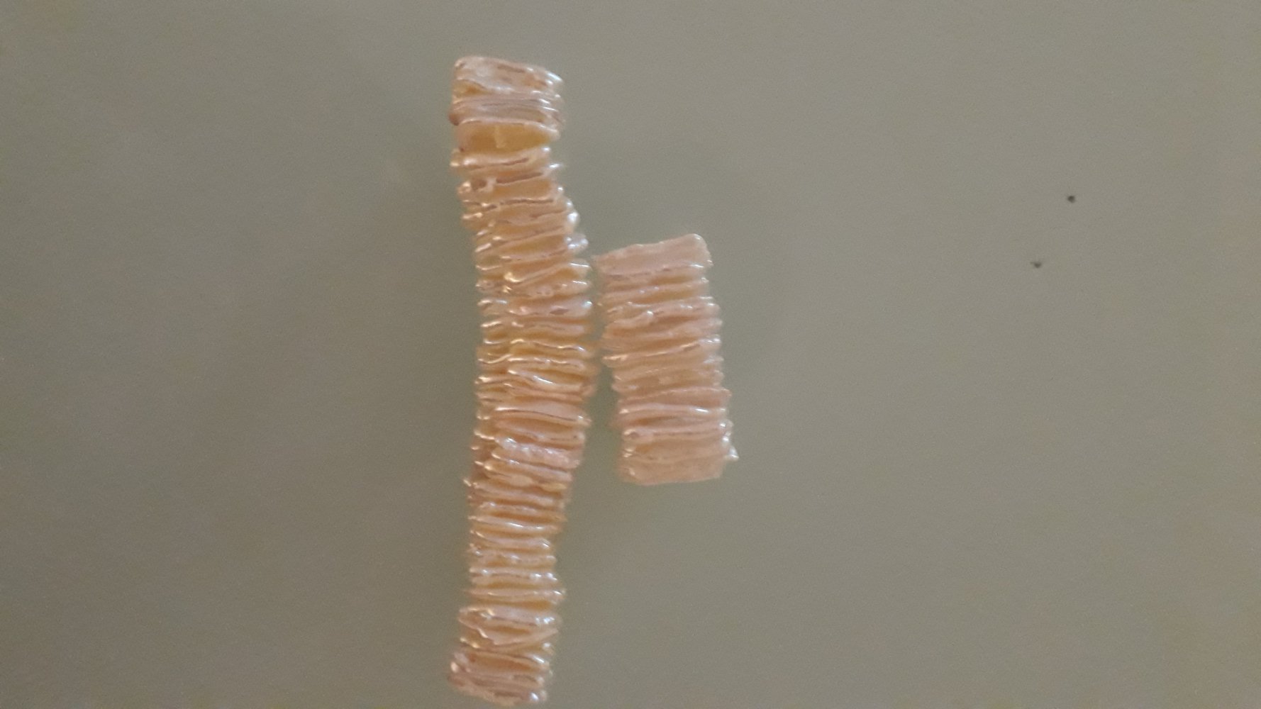 Armband und Fingerring aus Perlen