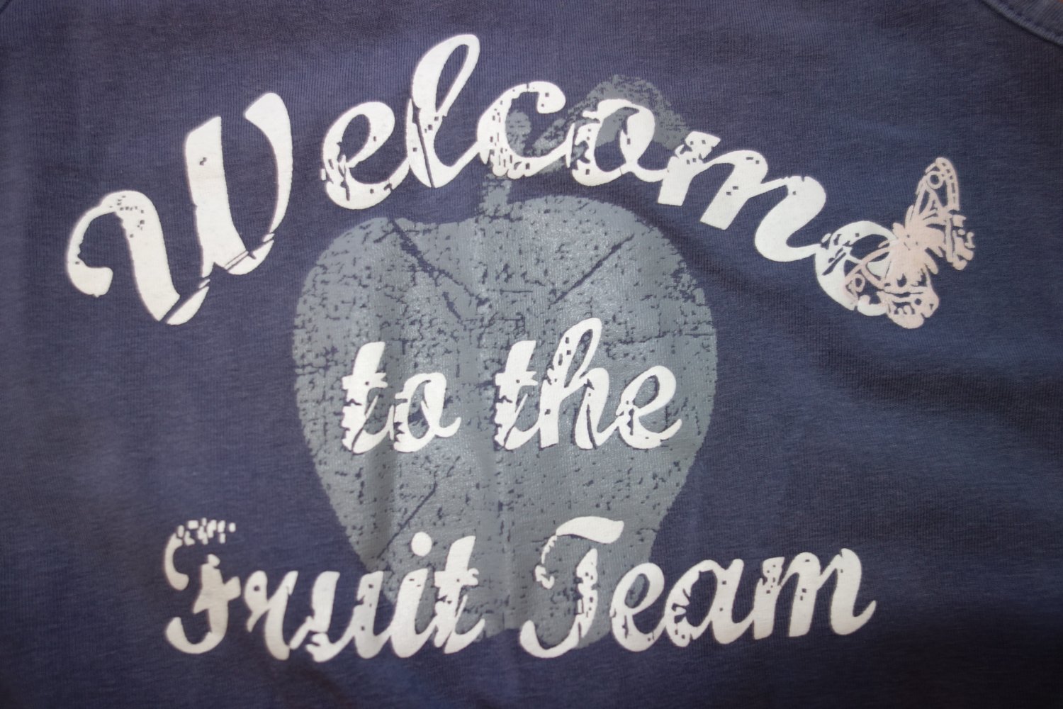 Kleid longtop vertbaudet 102cm grau 98/104