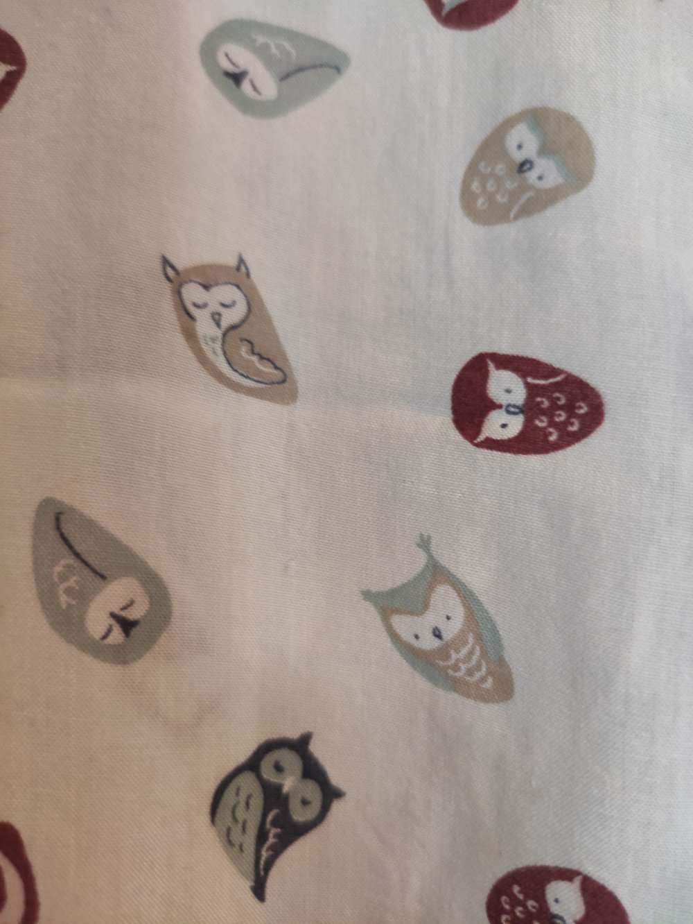 Niedliche Bluse mit Eulendruck Größe 38
