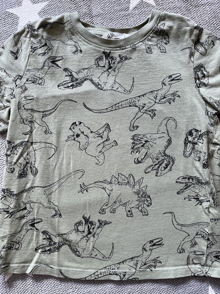 Dino Shirt 