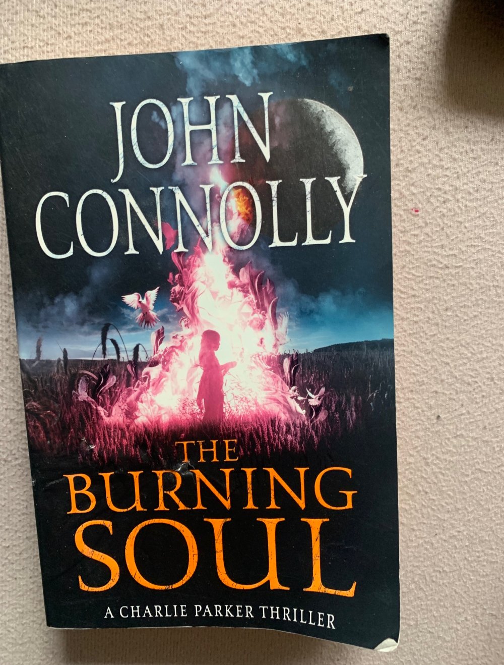 buch englisch the burning soul