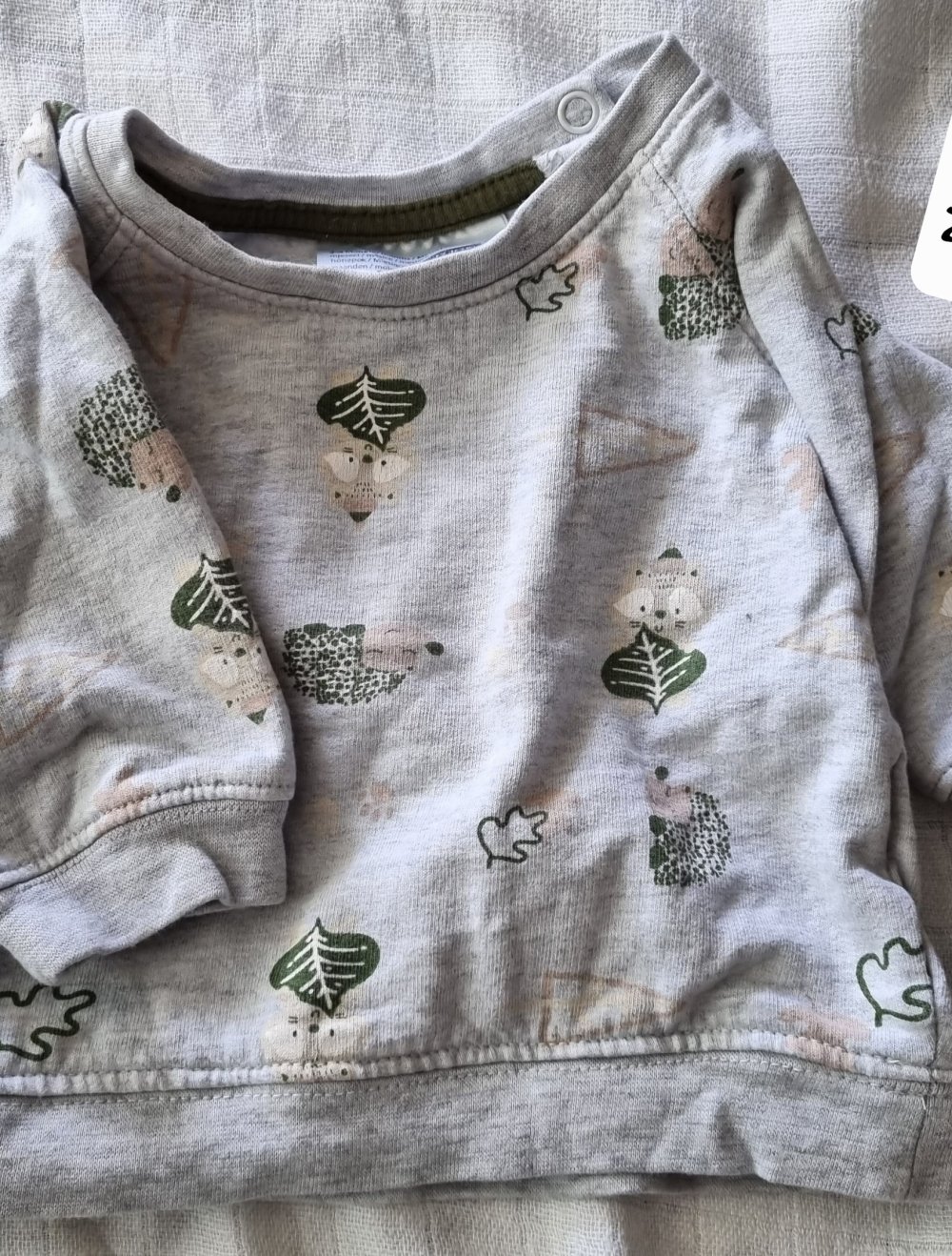 Baby Jungen Pullover