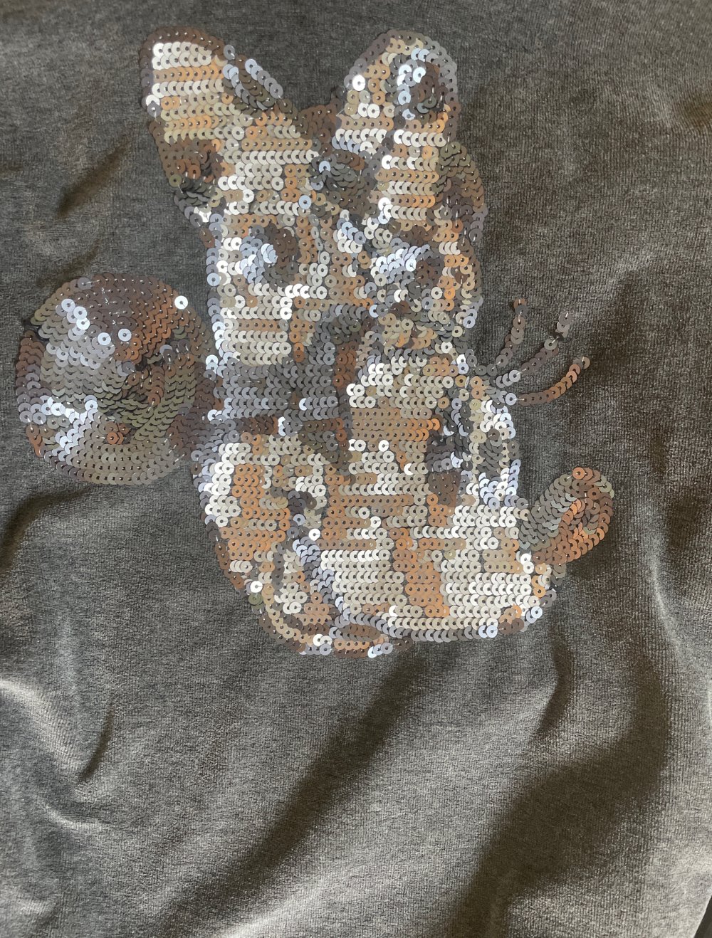 Disney Kaputzenkleid