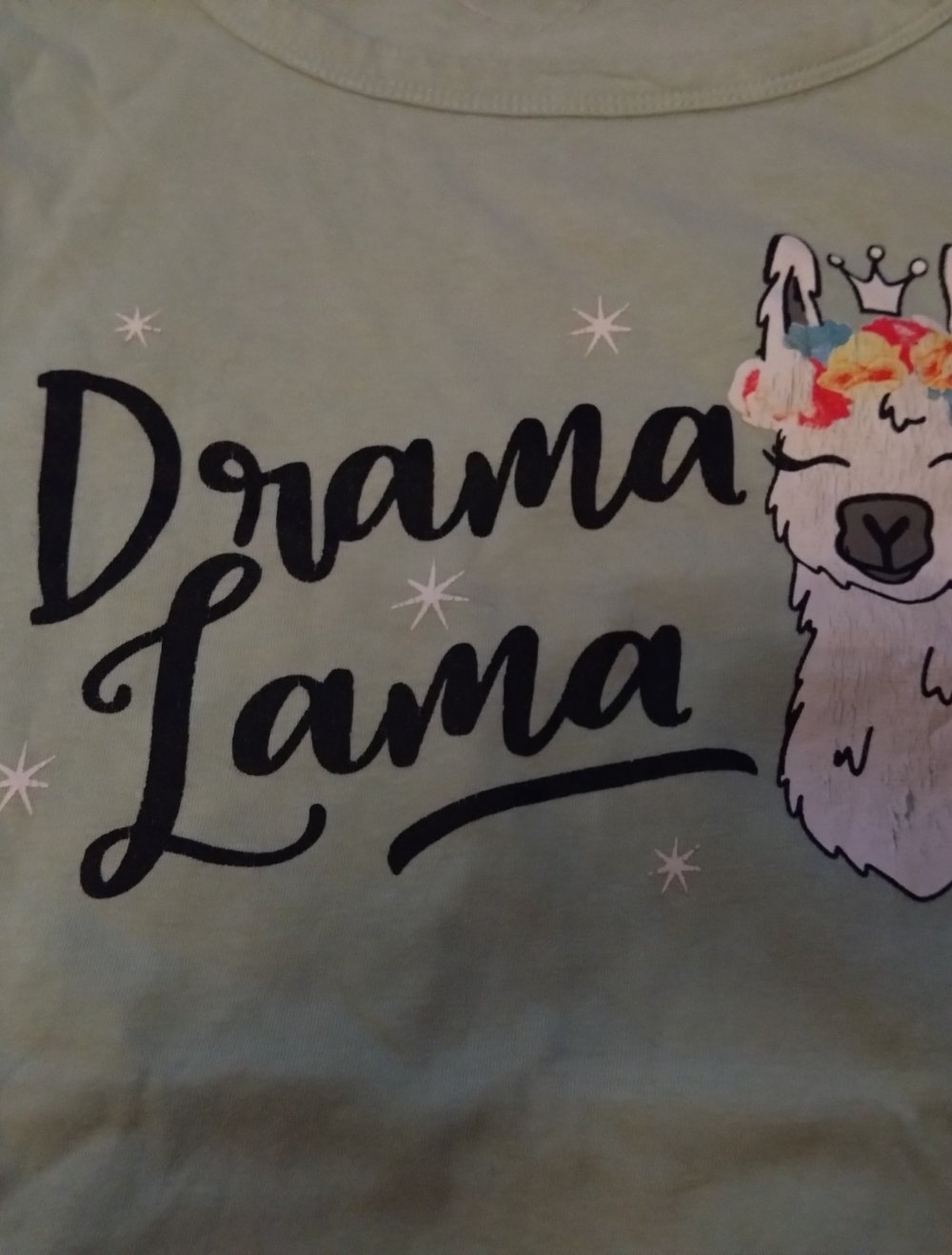 Drama Lama T-Shirt