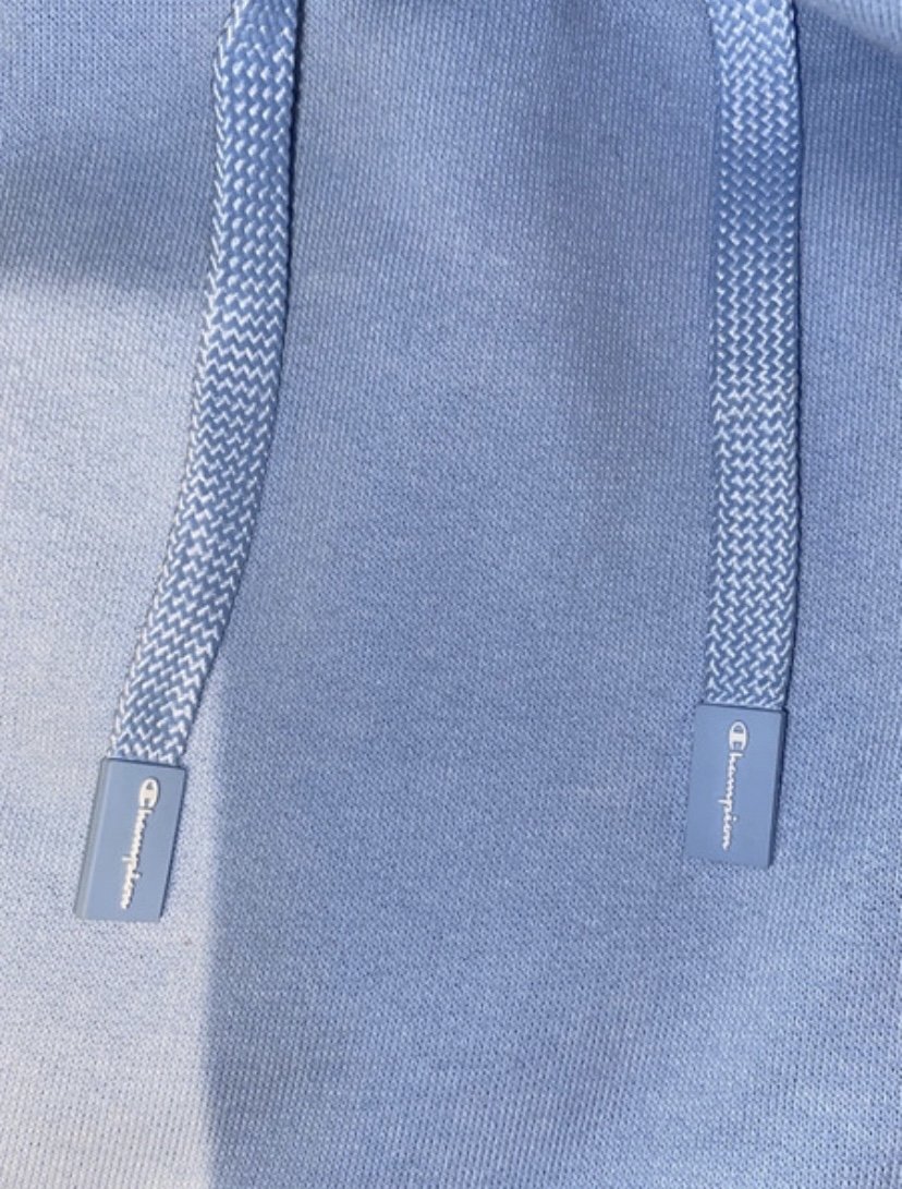 Babyblauer Champion pullover