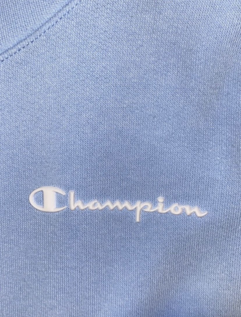Babyblauer Champion pullover