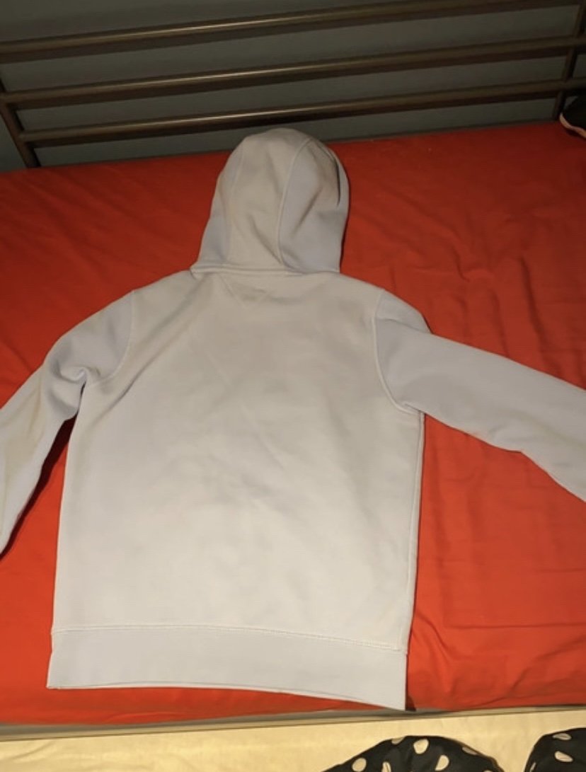 Babyblauer Champion pullover