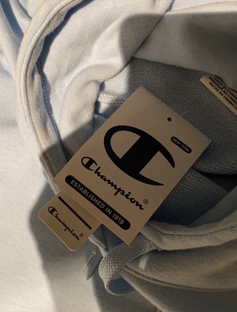 Babyblauer Champion pullover