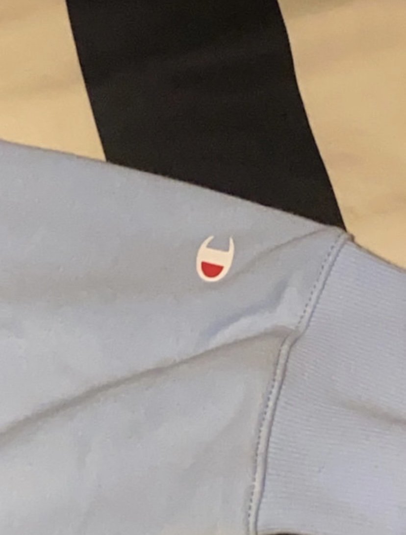 Babyblauer Champion pullover