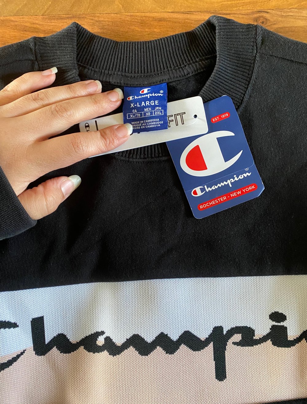 Champion Pulli